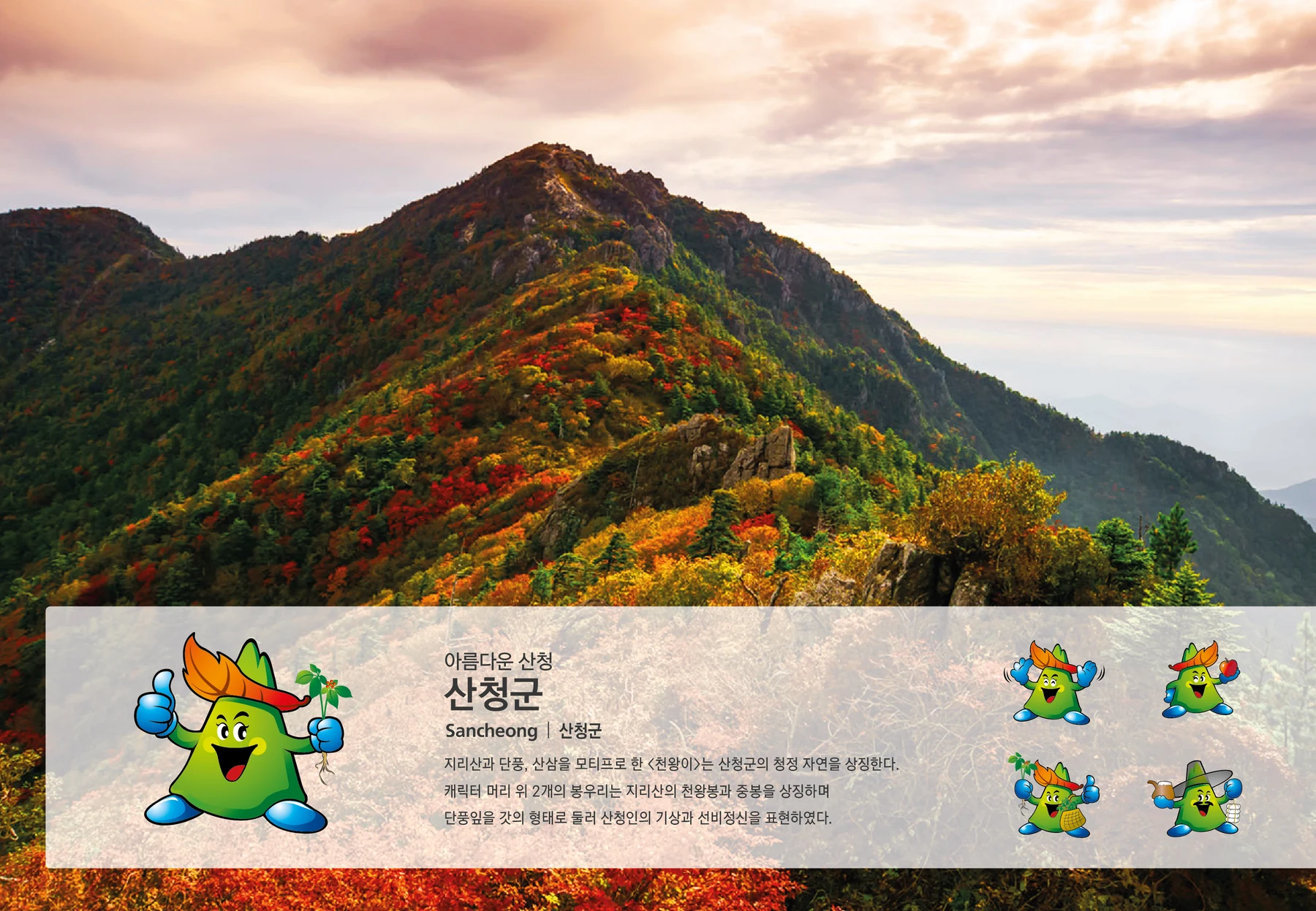 산청군 캐릭터 — 캐릭터 기본형과 응용