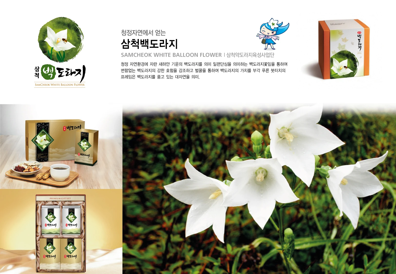 삼척백도라지 — 아이덴티티 적용 보드